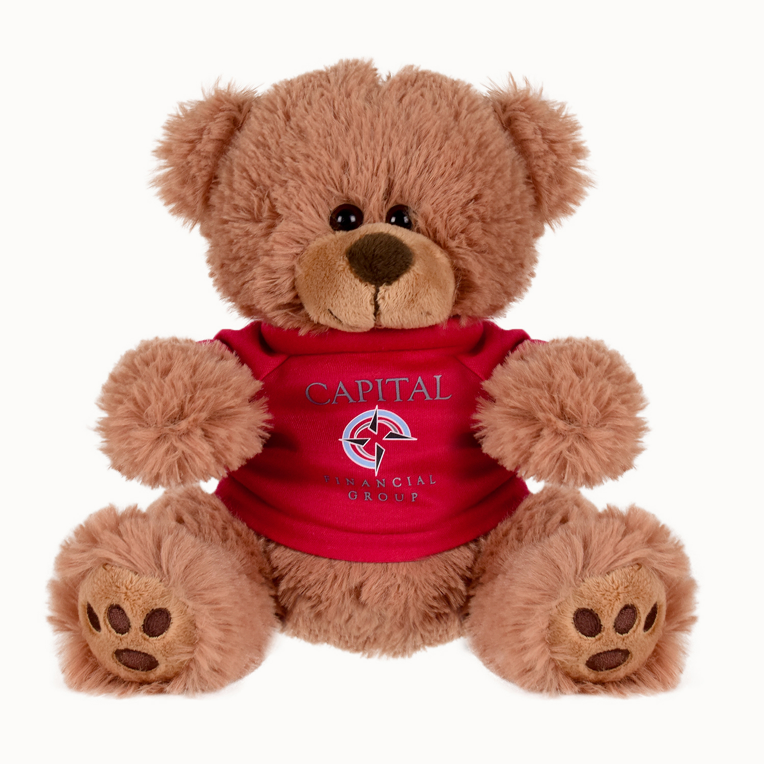 Plush Bear w/ Embroidered Paws and T-Shirt 2