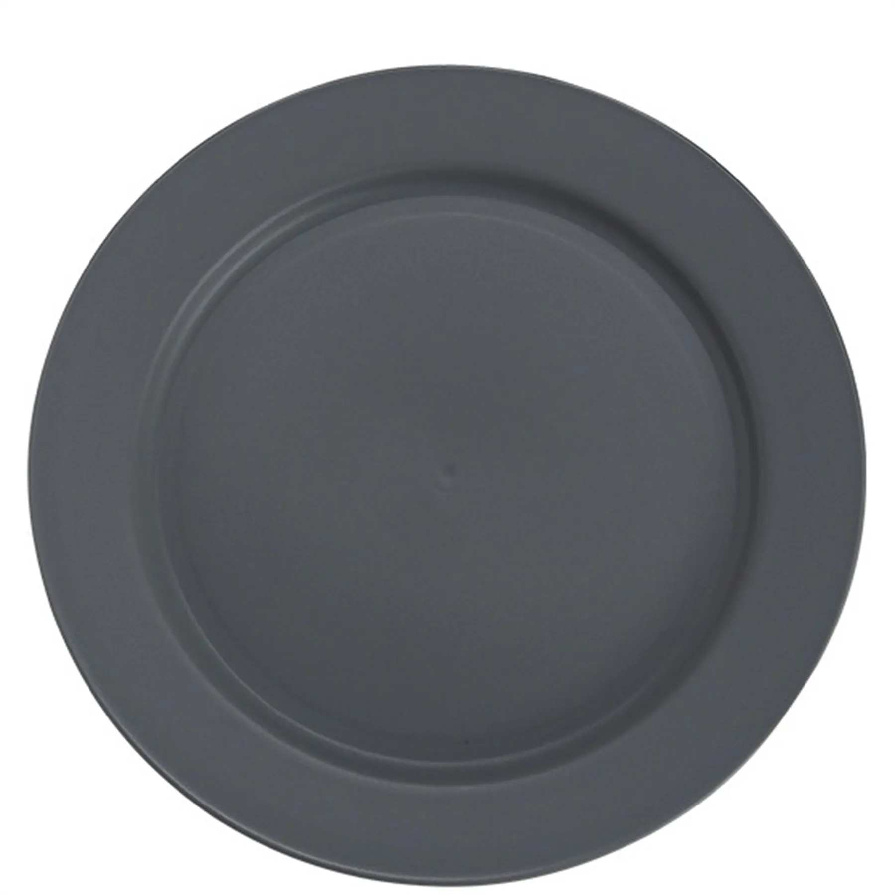 Plastic Plate 9.8 Inch 17