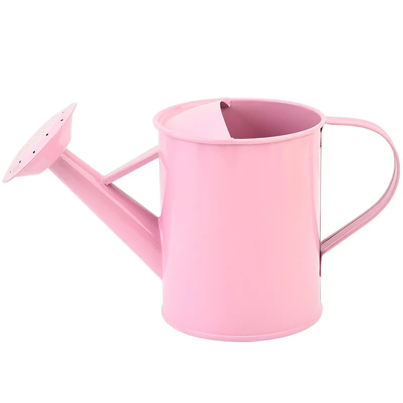 Iron Watering Can 1