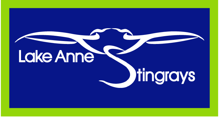 Custom 3.5" x 6.5" Rectangle Car Magnet 2