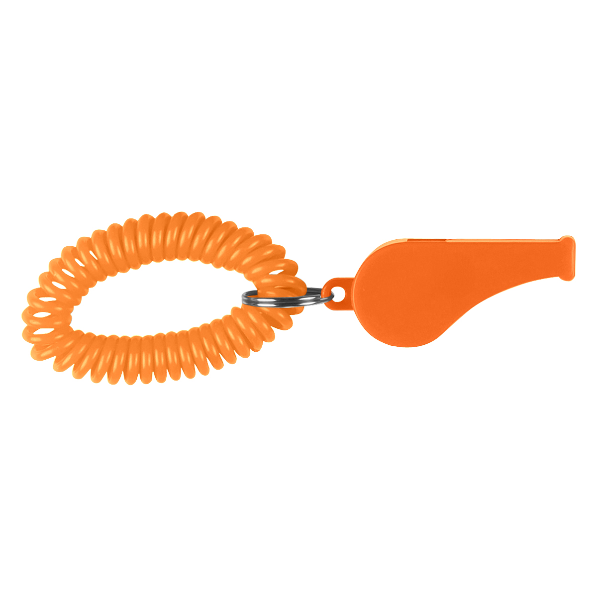 Whistle With Coil 17