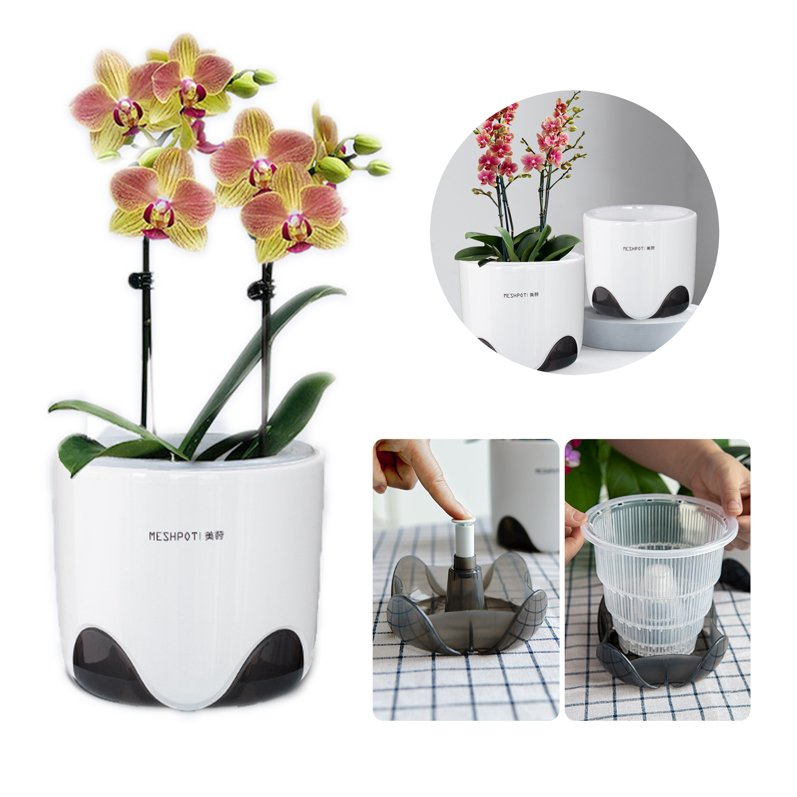 5 inch Orchid Pot with Holes 2