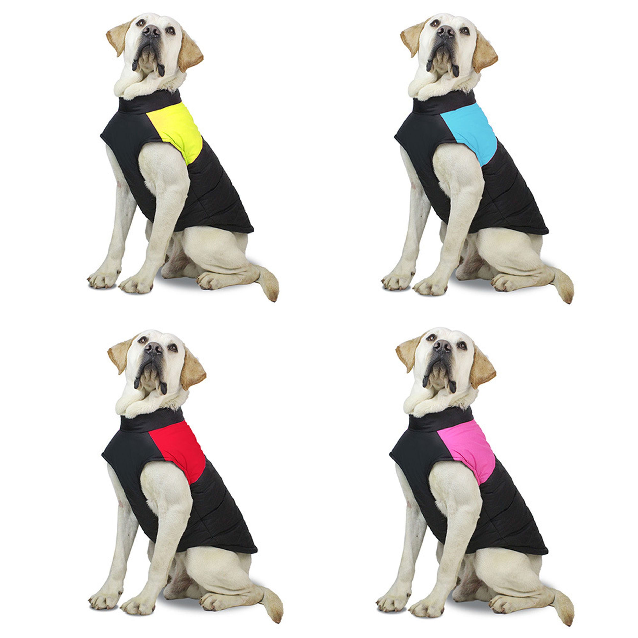 Pet Windproof Jackets 50MOQ 3