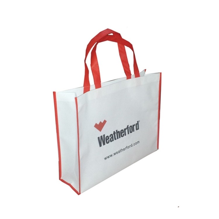 Non-woven Gift Bag 2
