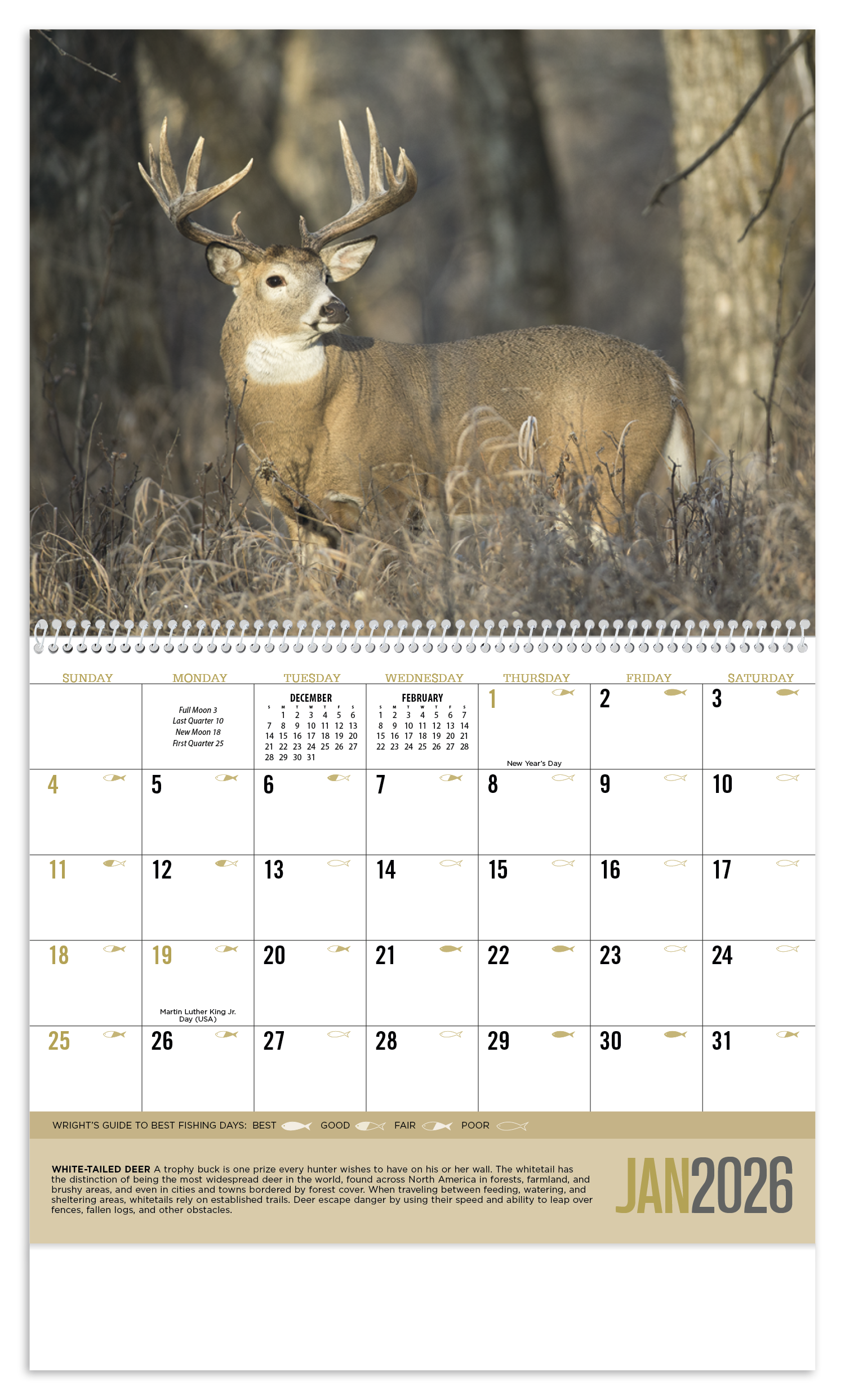 Triumph® Calendars Sportsman Calendar 24