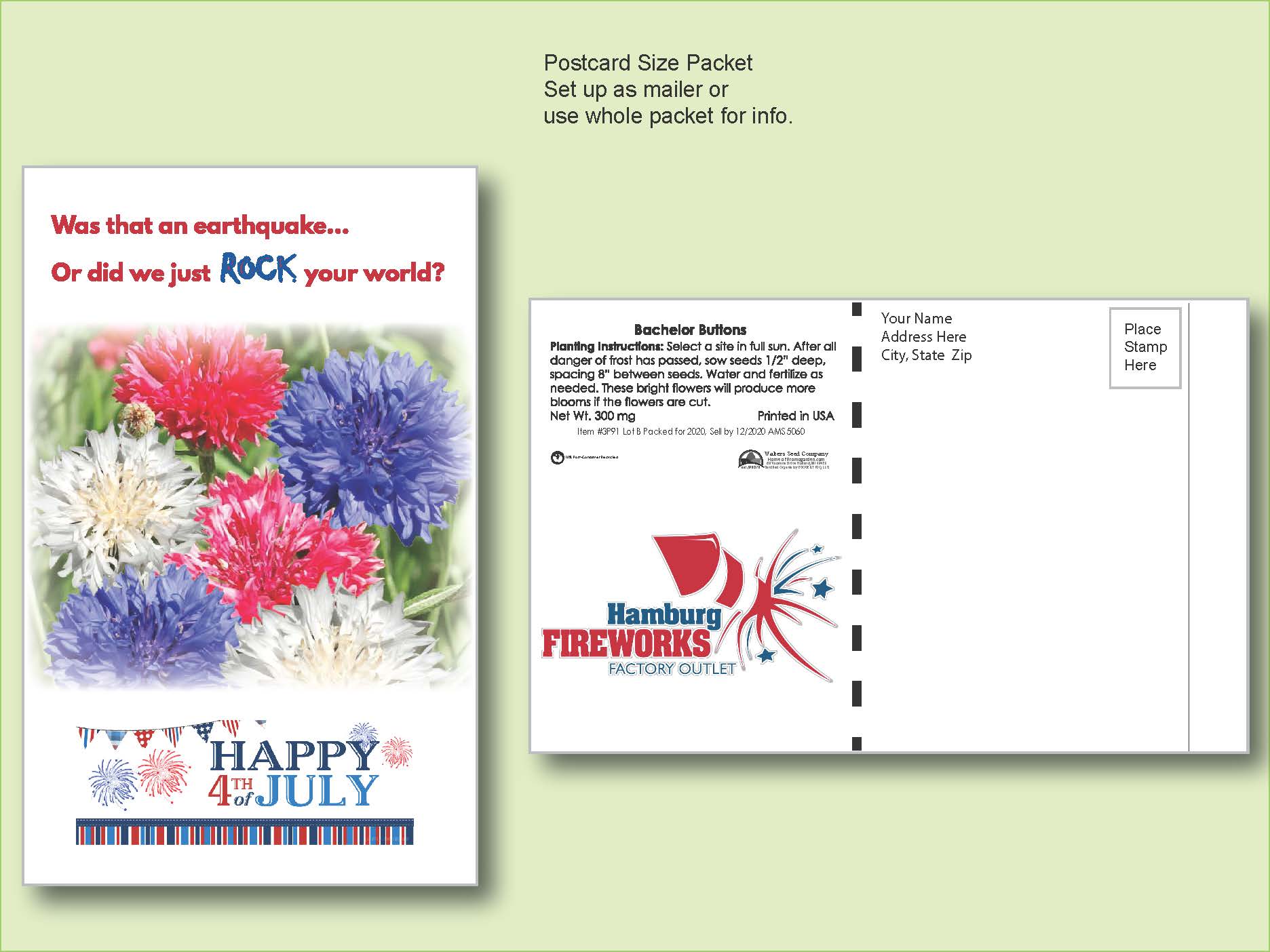 Bachelor Button Seed Packet - Postcard Mailer Size 4" x 6.5" 2