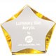 7 Inch Clear/Gold Luminary Star Acrylic Trophy 2