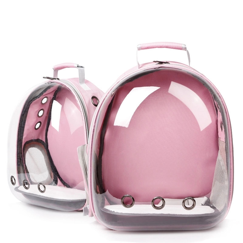 Cat Backpack 2