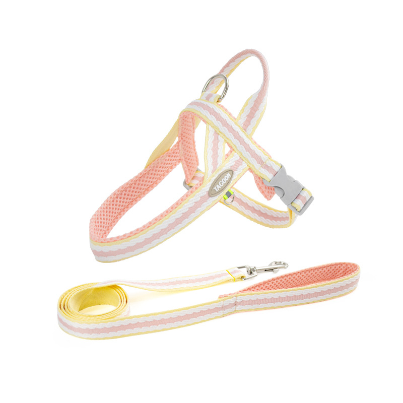 Small Dog Harness and Leash Set 4