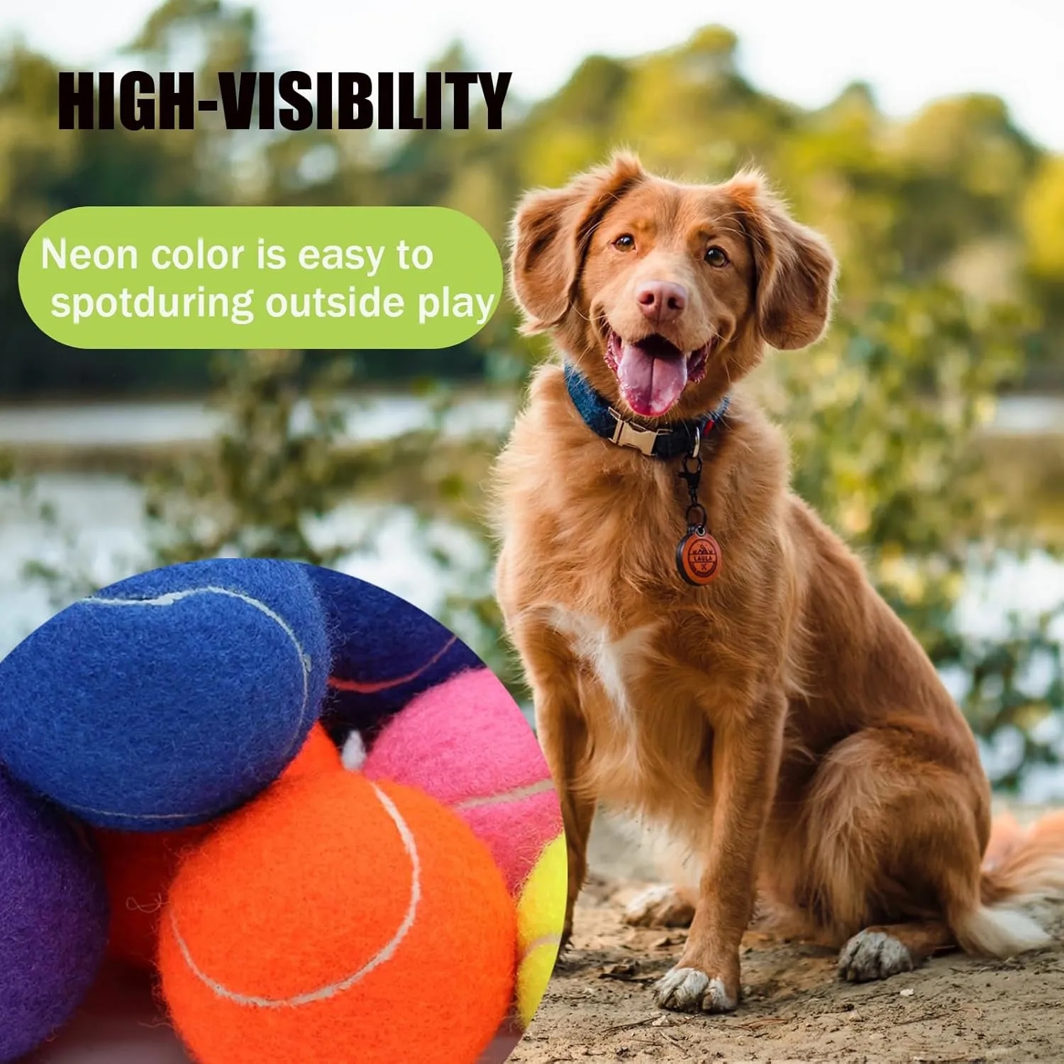 Dog Toy Tennis Balls 6