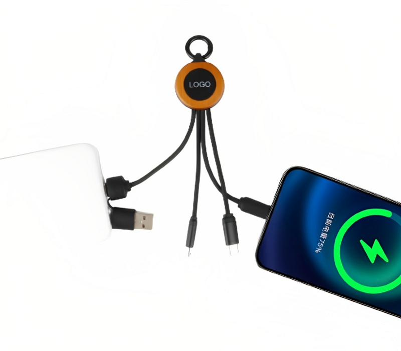 6 inch Eco-friendly LED Multifunction Type-C Charging Cable 2