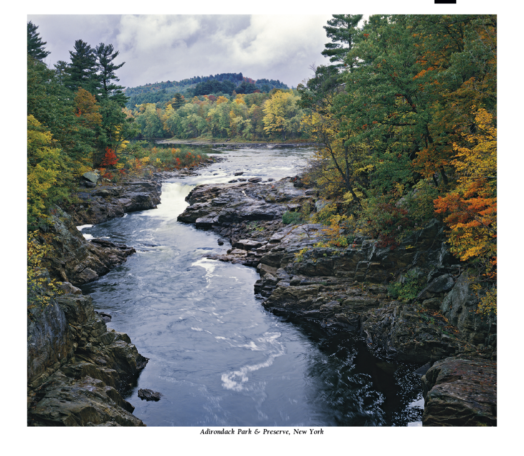 HotLine® Products Scenic America® Pocket Calendar 31