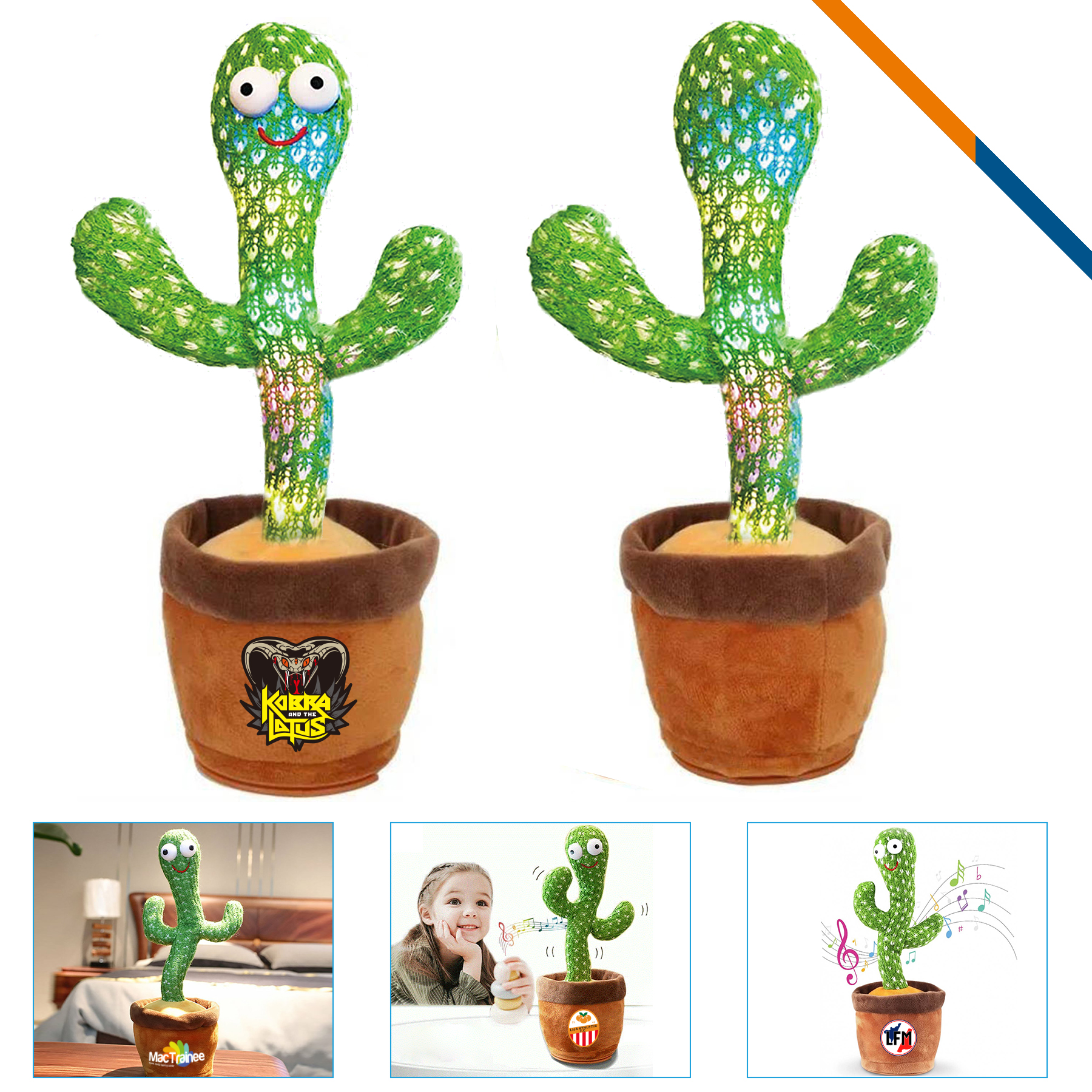 Vafic Dancing Cactus Toy 4