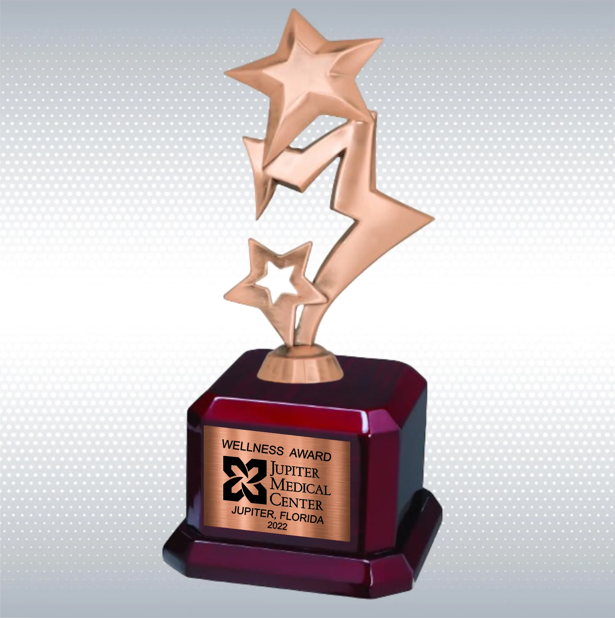 9 1/2" Star Trophy Award on Rosewood Royal Piano Finish Base 6