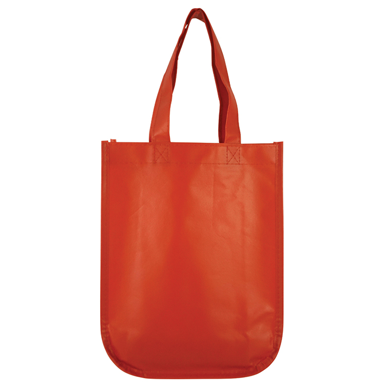 Sundale Small Matte Laminated Tote Bag 24