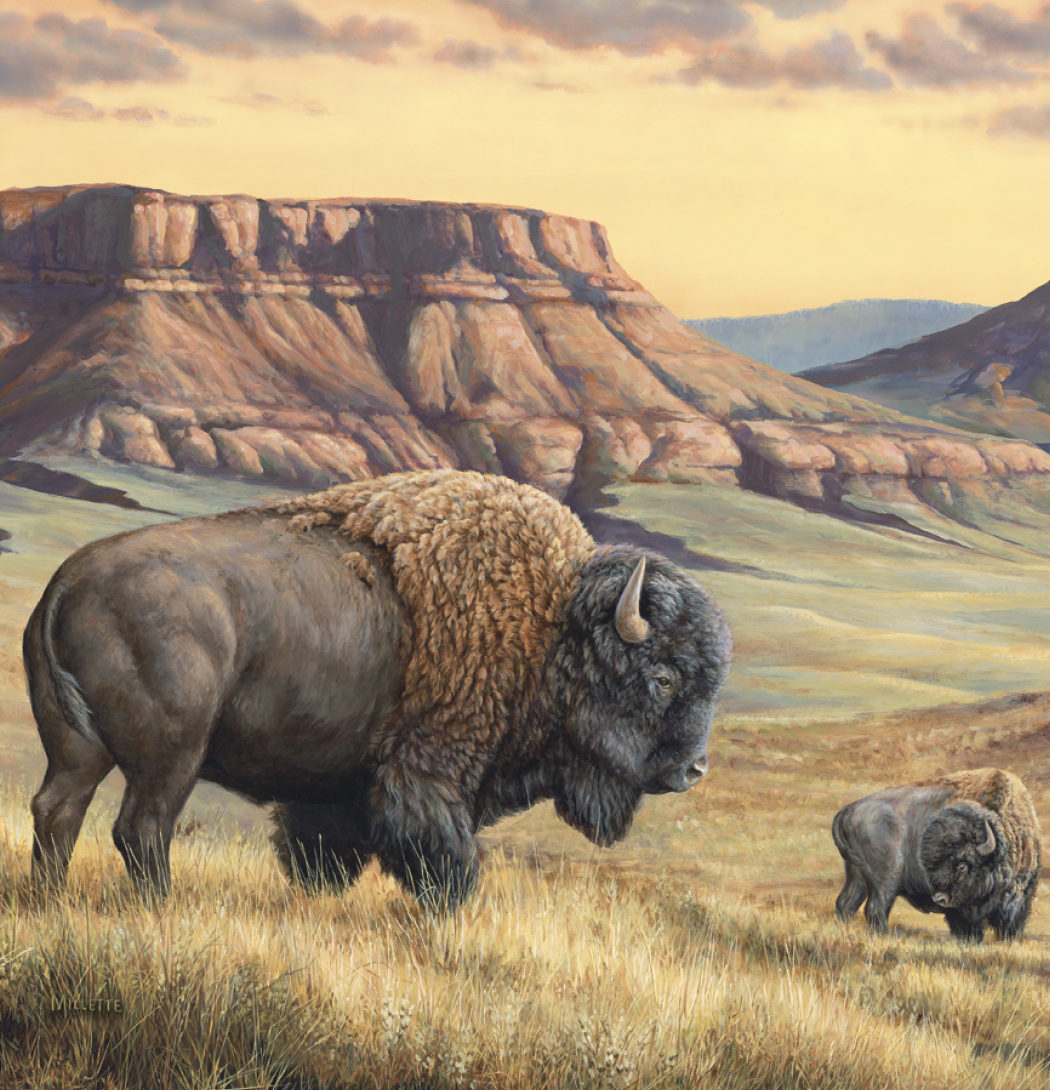 Triumph® Calendars Wildlife Art Calendar 66