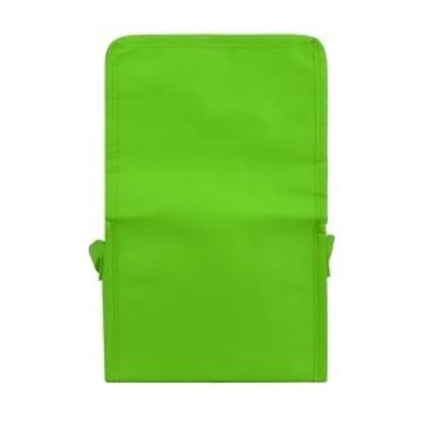 Springs 6-Pack Insulated Cooler Bag 28