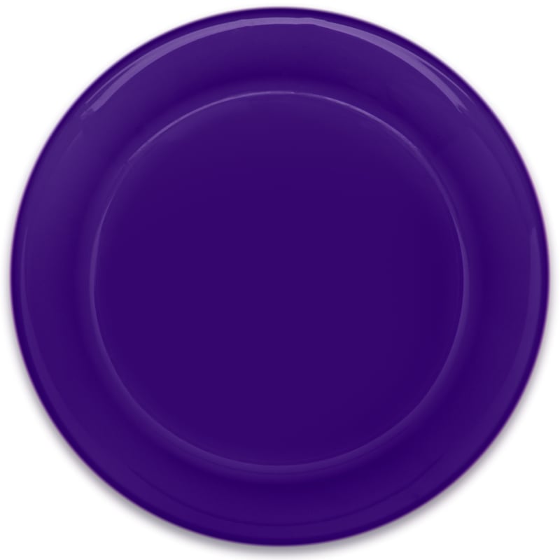 9.25" Custom Flying Discs 12