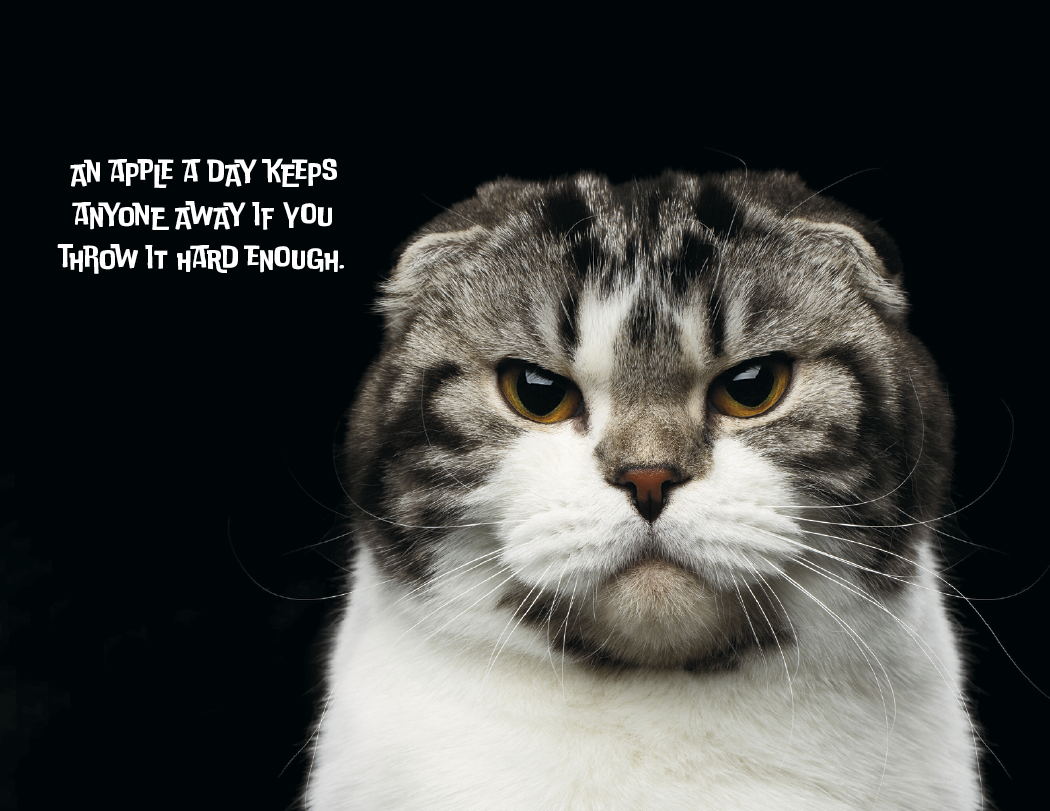 Good Value™ Pets with Attitude - Spiral Calendar 12
