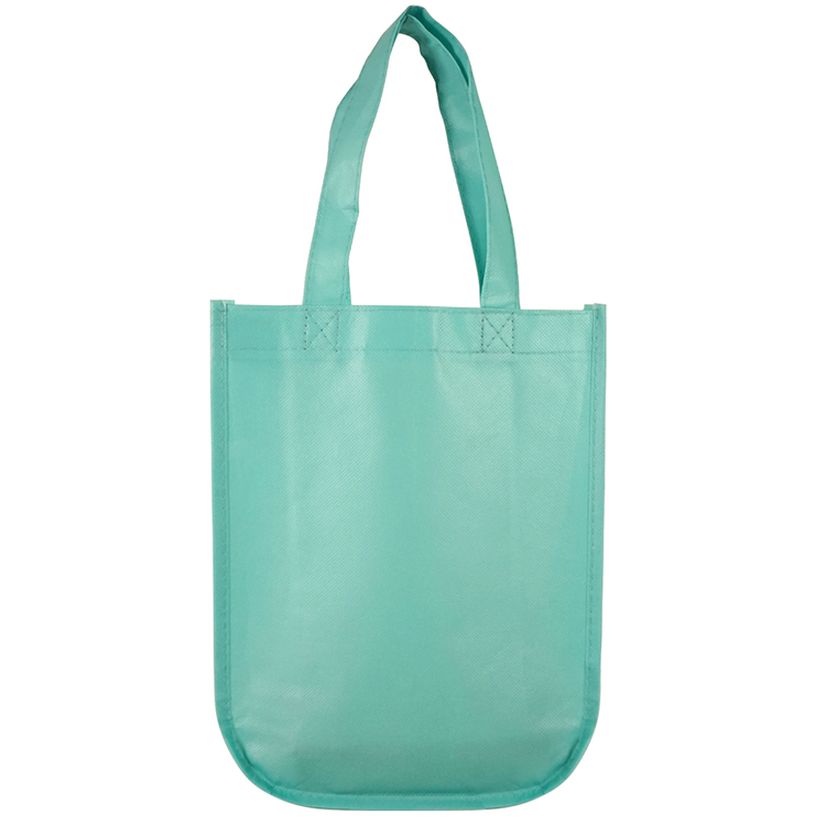Sundale Small Matte Laminated Tote Bag 22