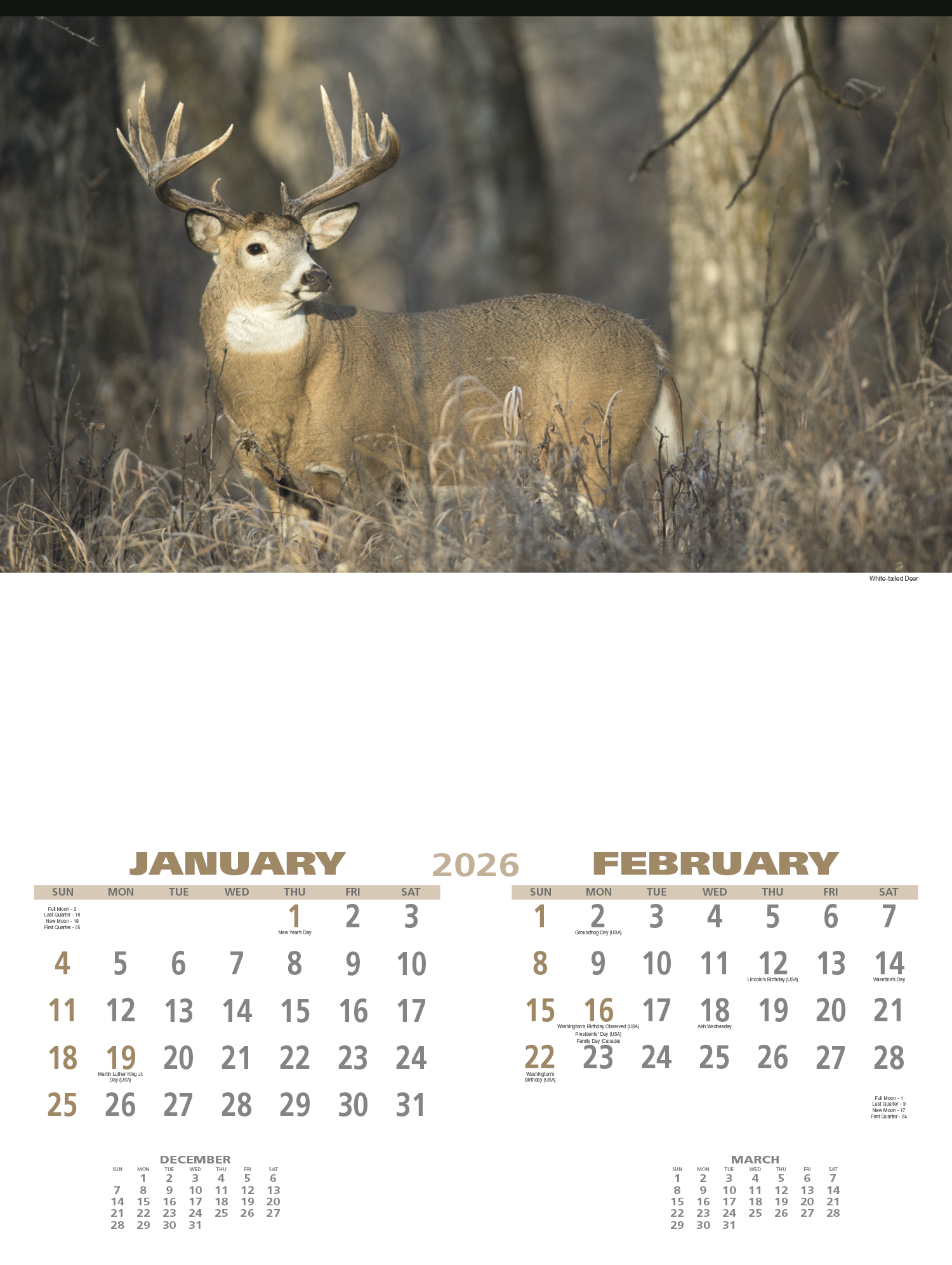 Triumph® Calendars Wildlife Calendar 4