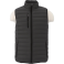 Men's Whistler Light Down Vest 20
