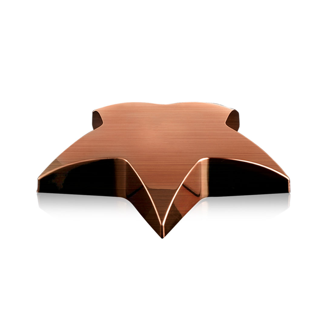 Hollister Star Paperweight 6