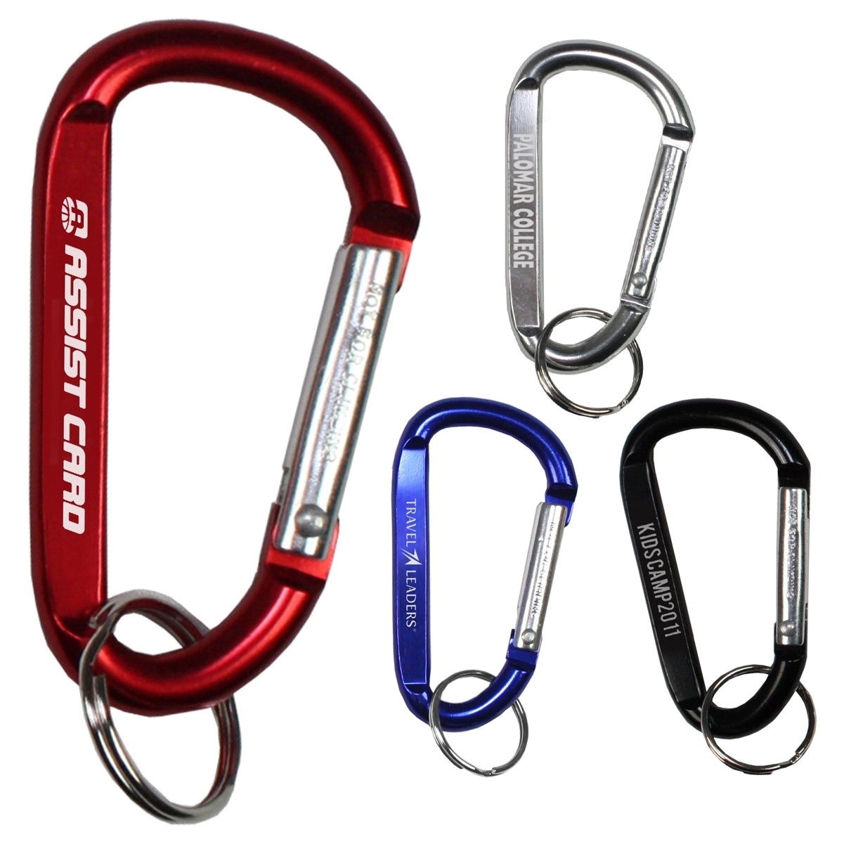 Carabiner with Split Ring 1
