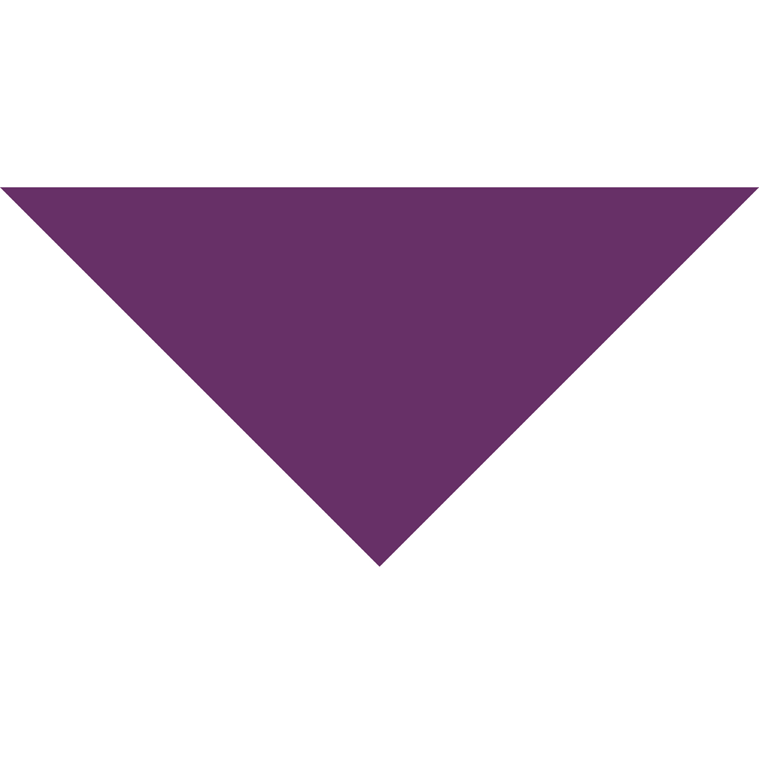 Small Triangle Pet Bandana w/ Screen Print 21