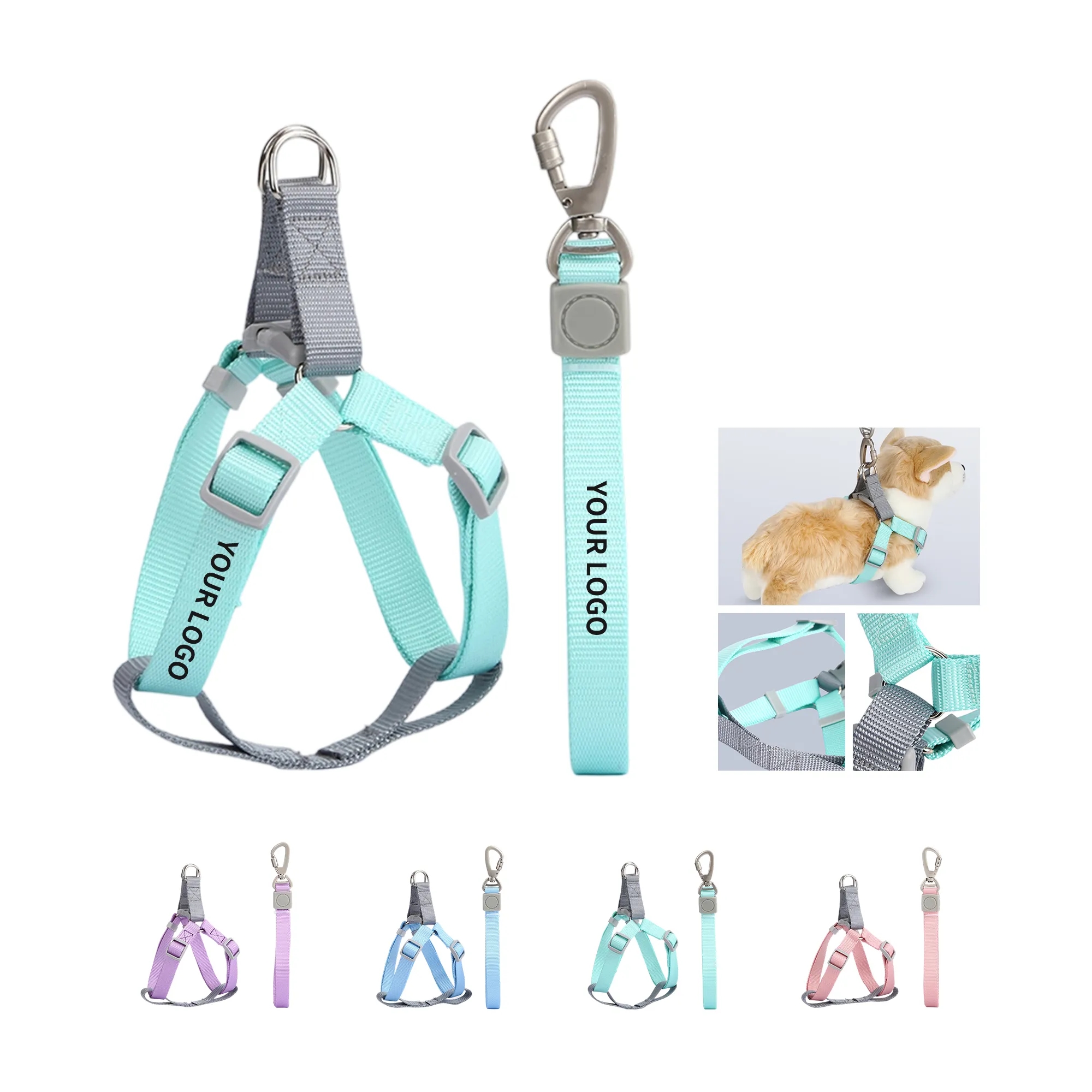 Nylon Pet Leash 6