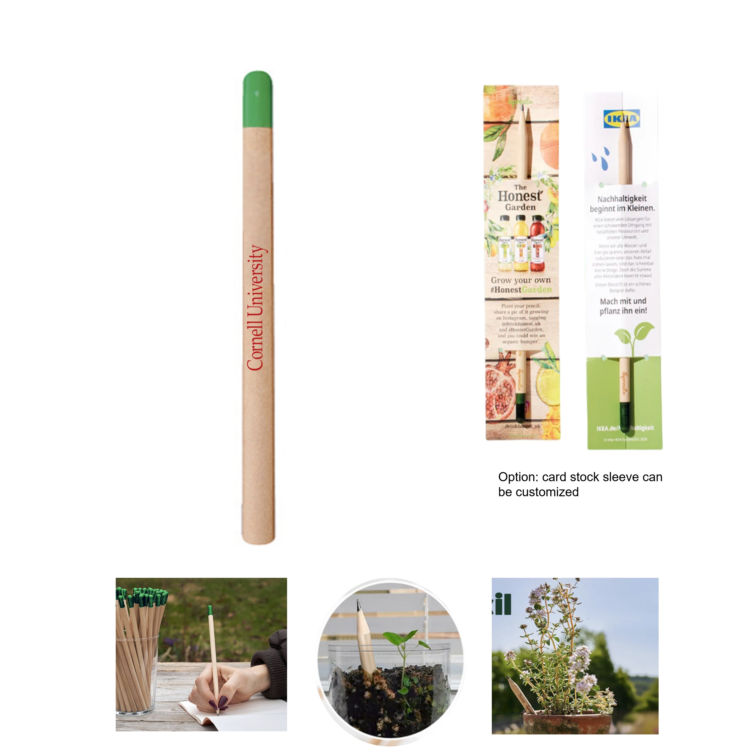 Plantable Pencil with Card Sleeve 2