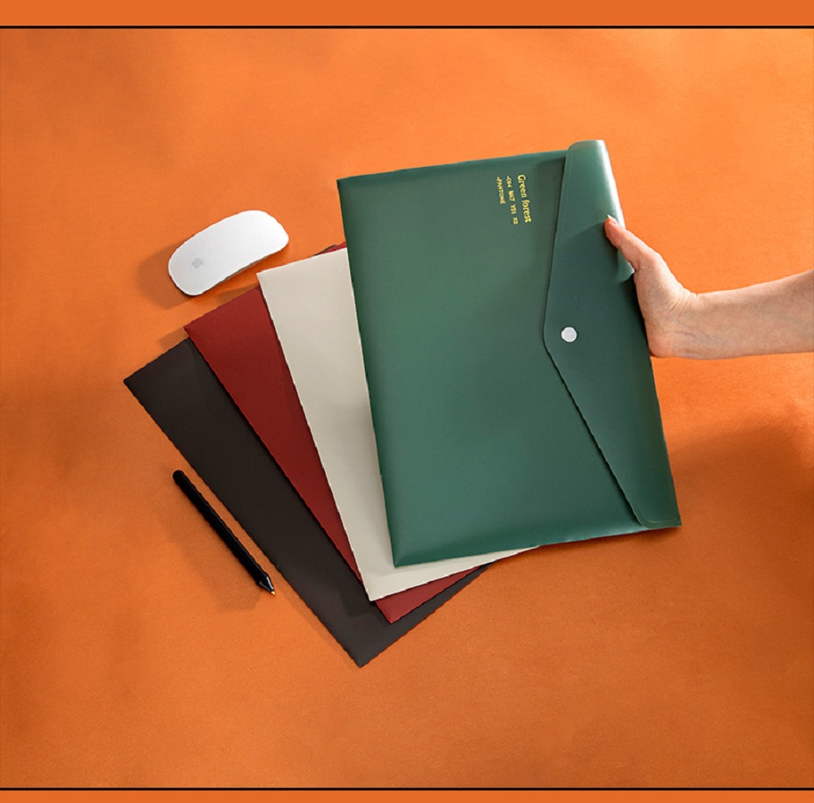 Letter Size Document Envelopes 2