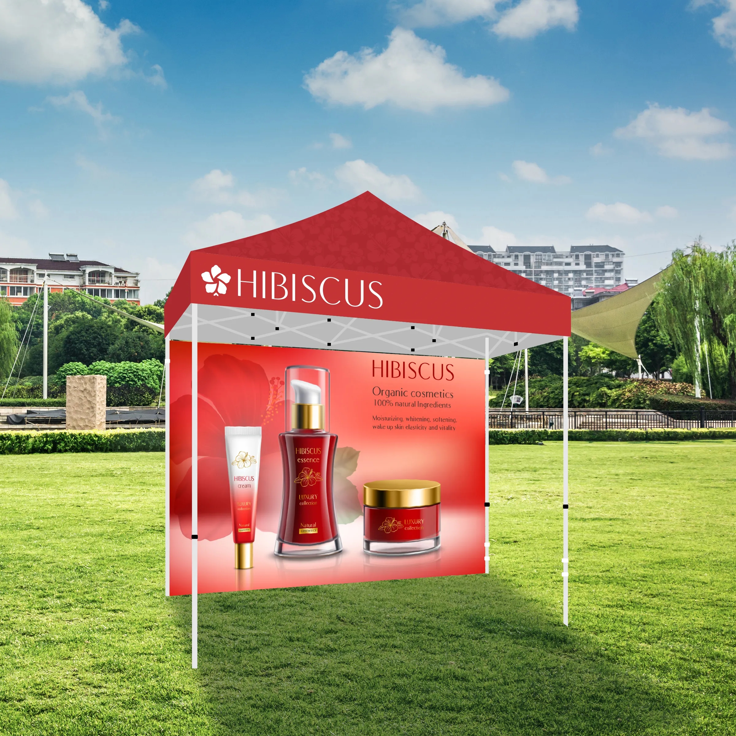 10' X 10' Tent w/ Full Color Canopy and Back Wall 3