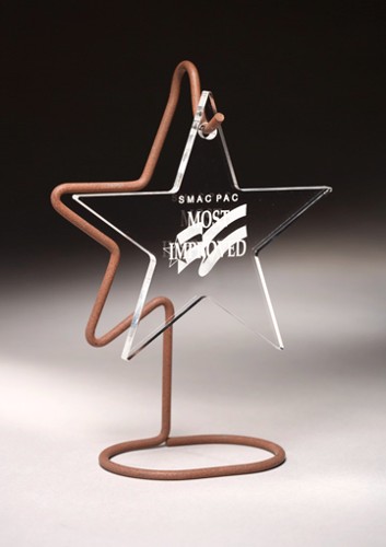 Recognition Acrylic Award 4