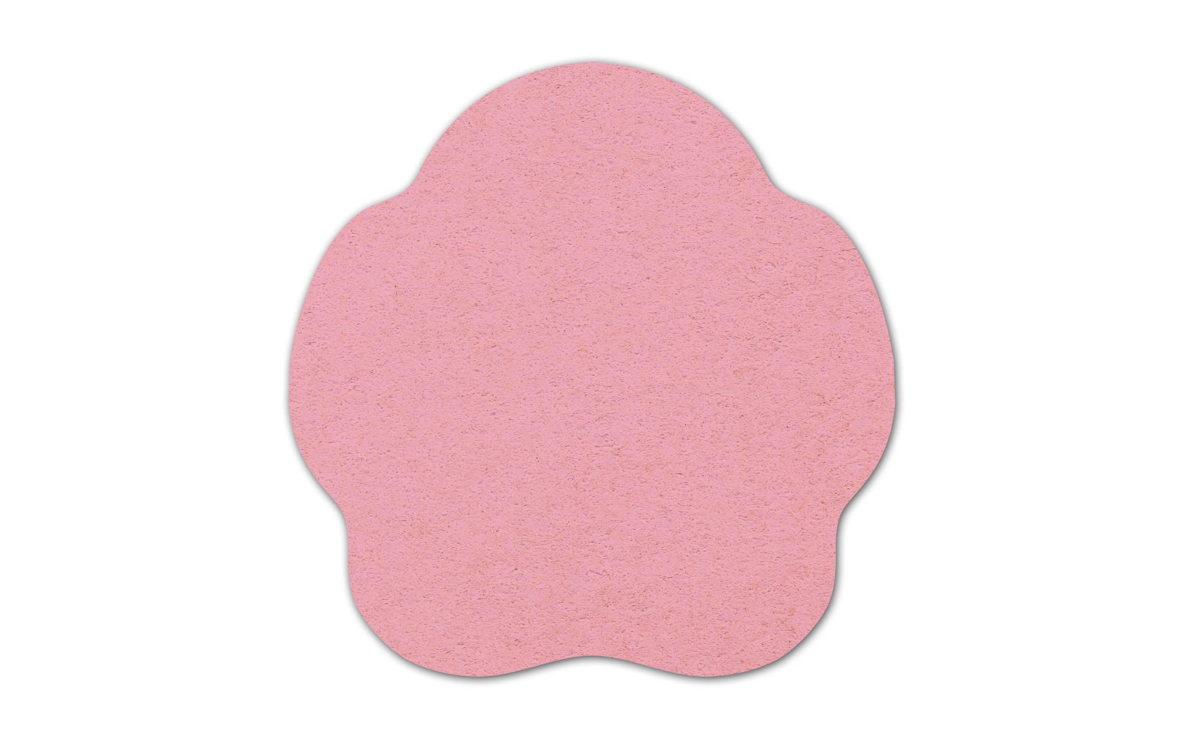 Paw Compressed Sponge 5PW 3