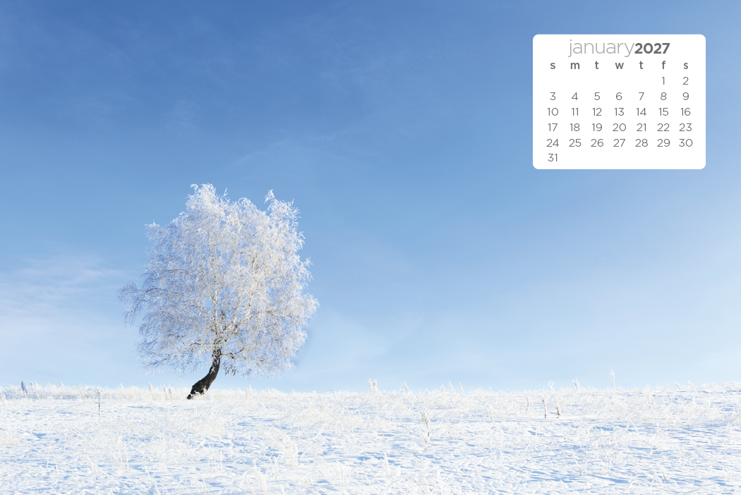 Triumph® Calendars Simplicity Large Desk Calendar 39