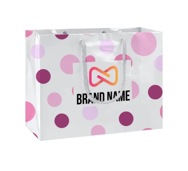 Printed Gloss Paper Bags (170 GSM Art Paper) 2