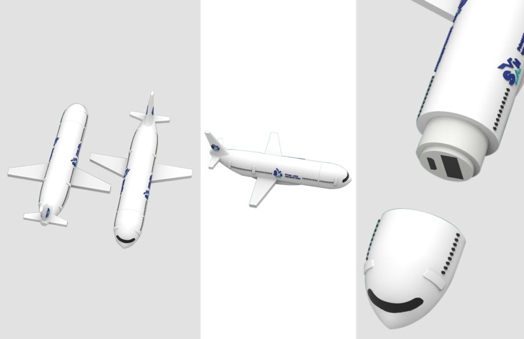 Custom 737 Passenger Plane Charger 4