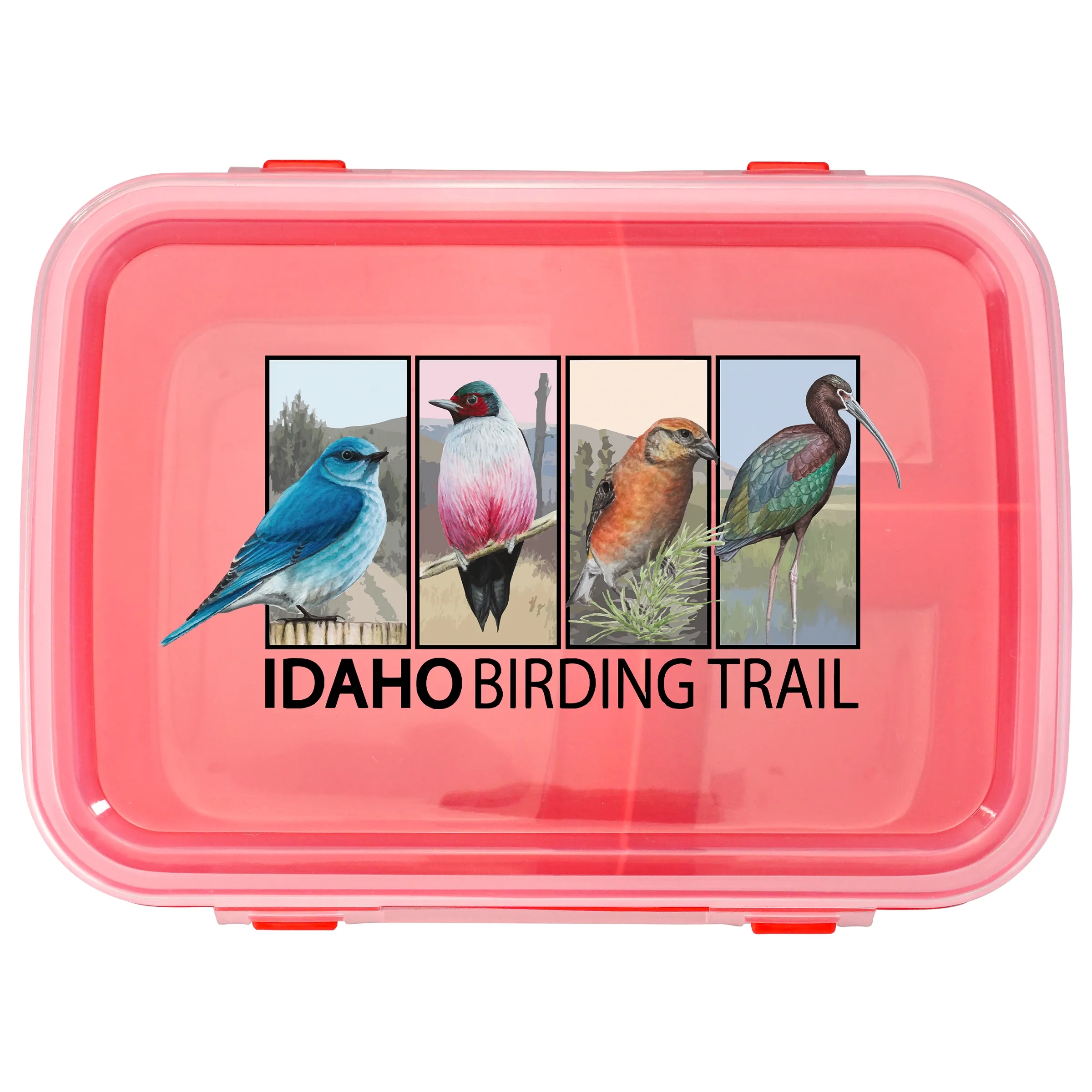 Full Color Lunch To Go Container 11
