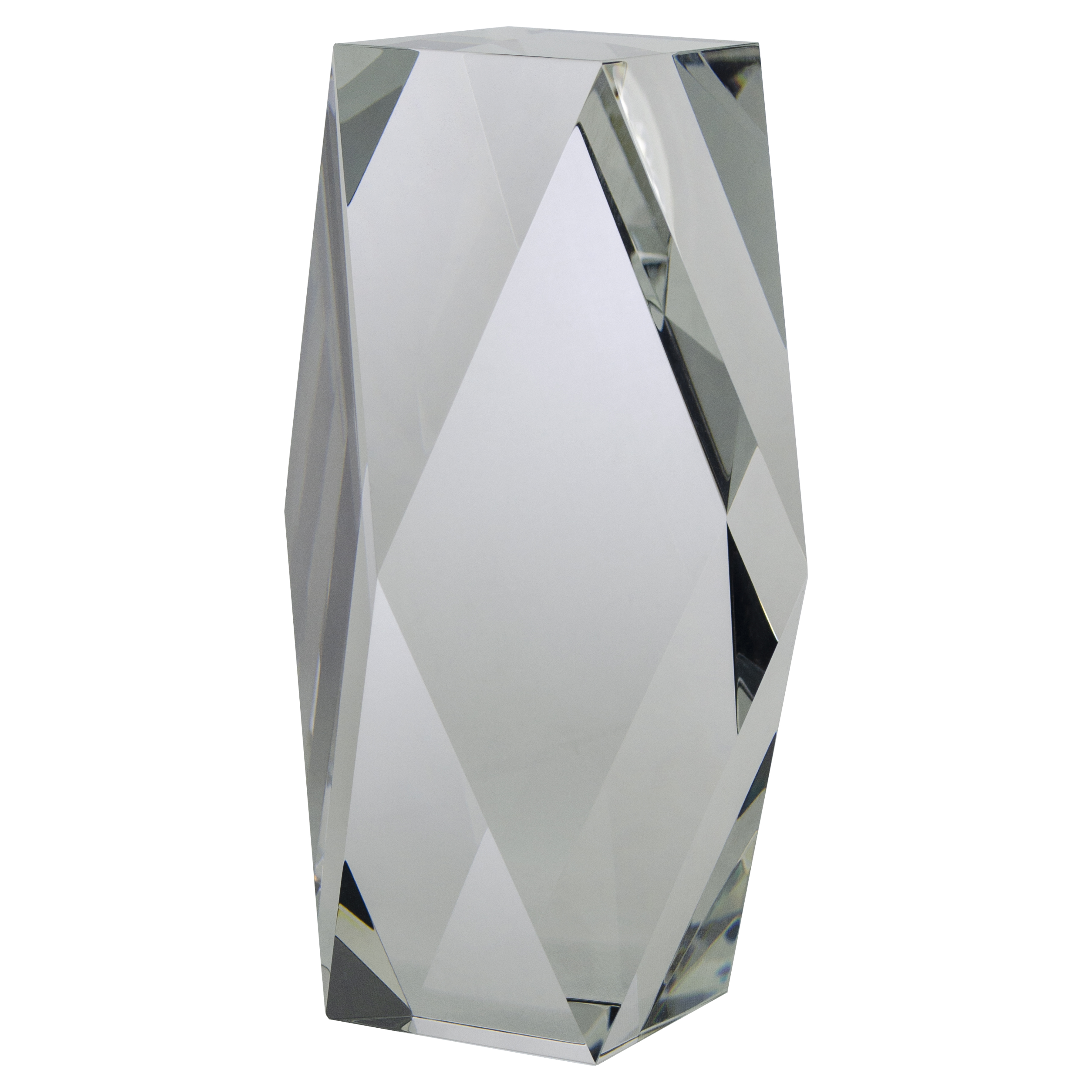 6" OptiMaxx Merit Award 8