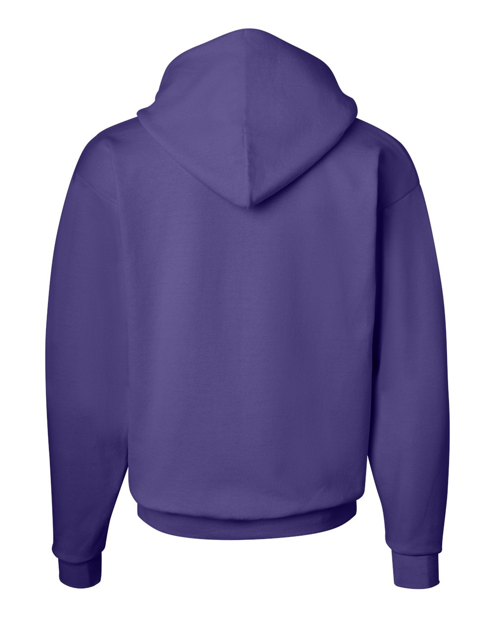 Unisex EcoSmart® Hooded Sweatshirt - P170 261