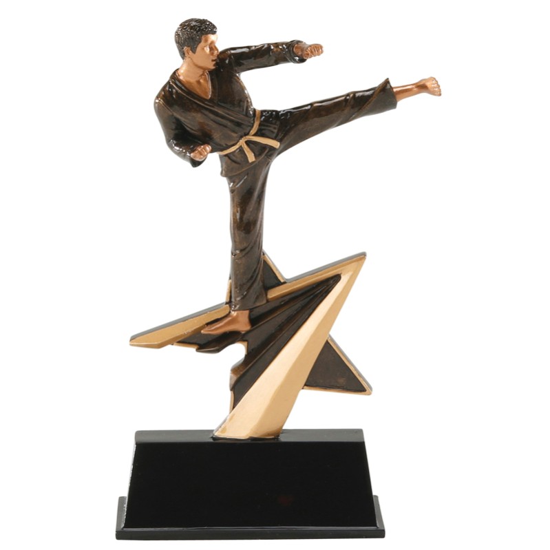 Karate Star Power Resin Figure 2