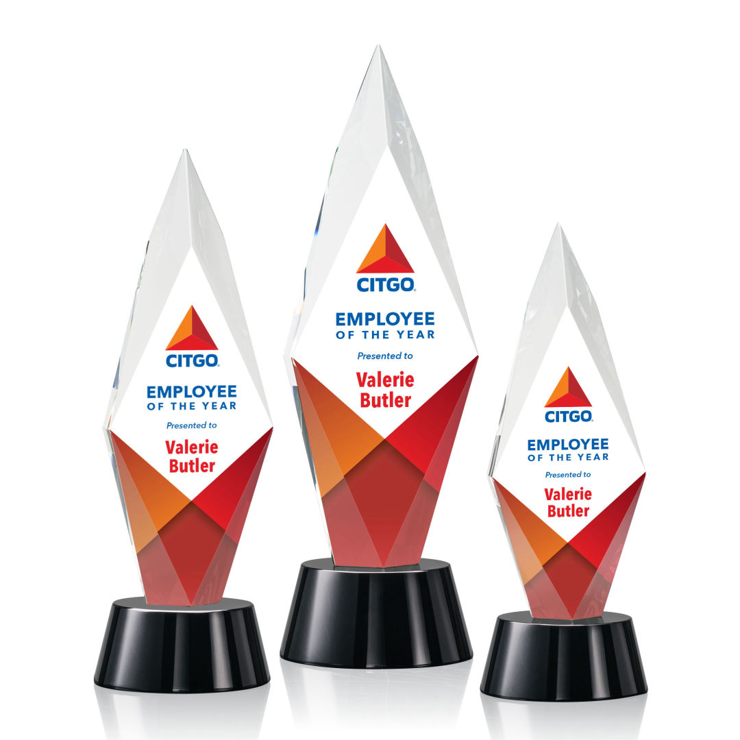 Manilow VividPrint™ Award 7