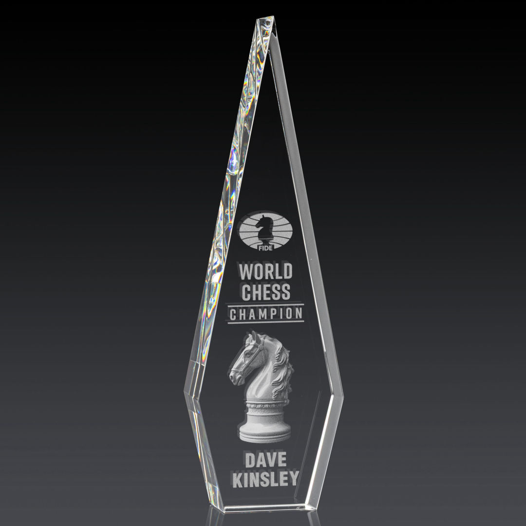 Springfield 3D Award 5