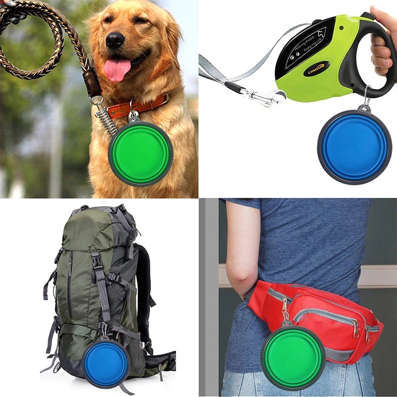 Collapsible Silicone Pet Bowl w/ Carabineer 2