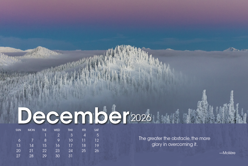 Triumph® Calendars Scenic Moments Large Desk Calendar 19
