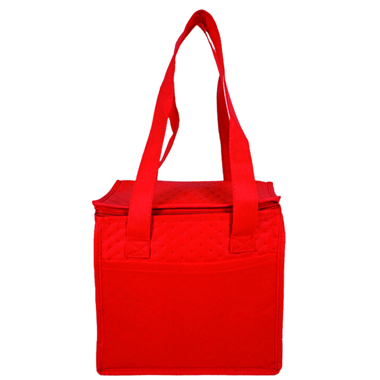Denali Insulated Convenient Cooler 16