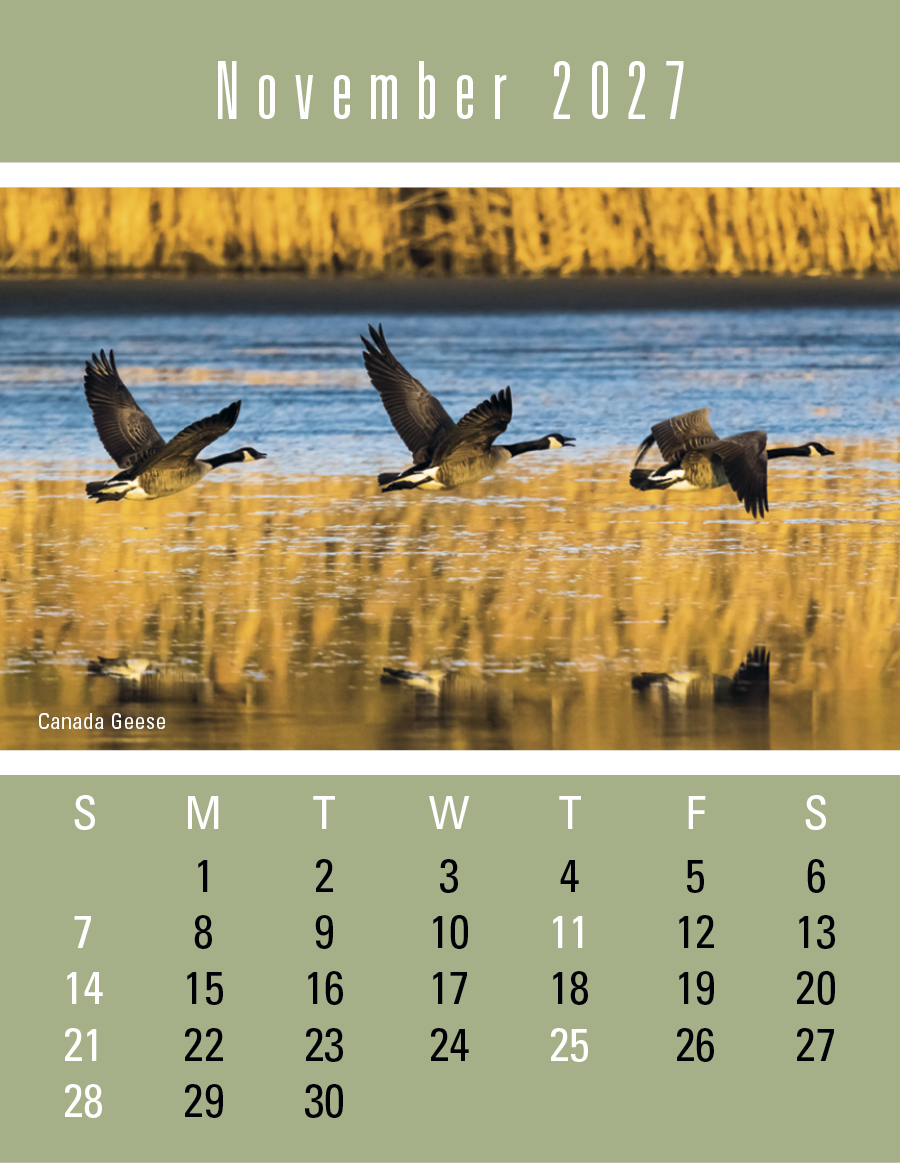 Triumph® Calendars Press-N-Stick Sportsmen Calendar 943