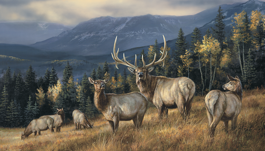 Triumph® Calendars Wildlife Art Calendar 18