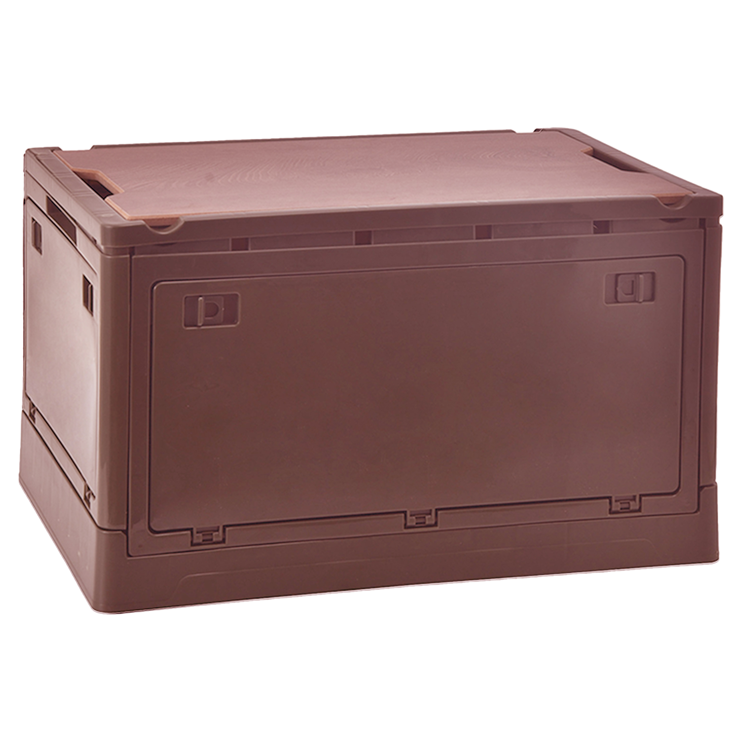 Plastic Trunk Storage Box 8